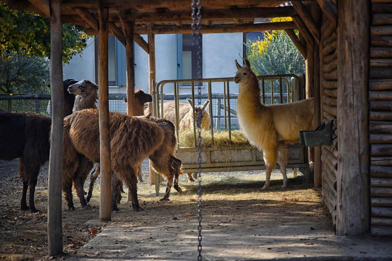 Agriturismo Corte Benetti روفيغو المظهر الخارجي الصورة