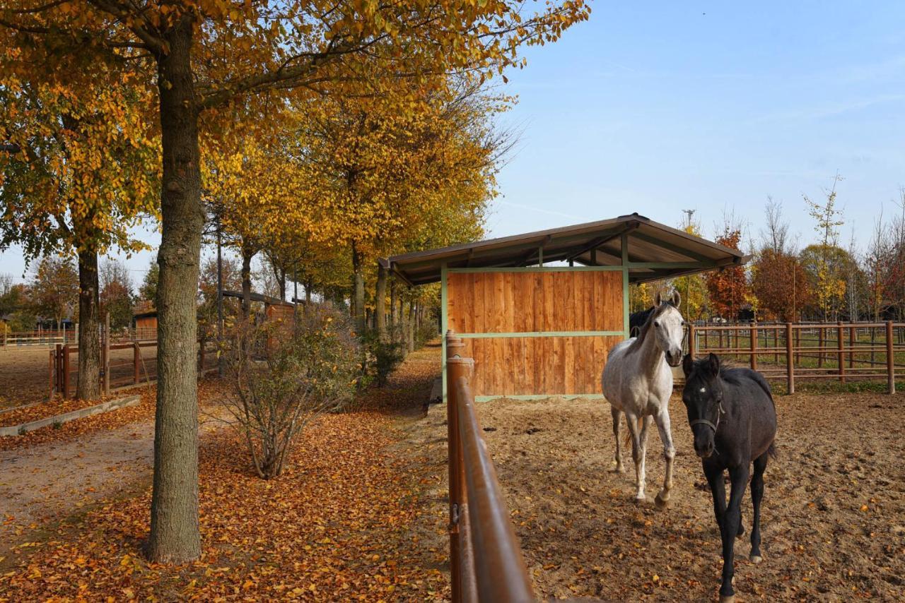 Agriturismo Corte Benetti روفيغو المظهر الخارجي الصورة